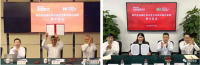 中國寶武，究竟儲備了多少鐵礦？